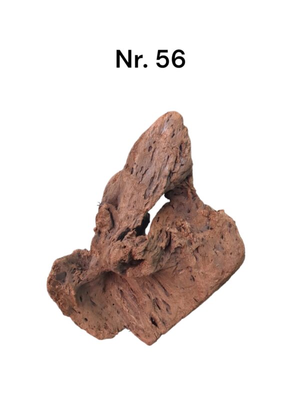 Mangrovenwurzel-Nr-56_NH0Qt5sgLP1G7.jpg