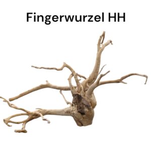 WhatsApp Image 2024-09-11 at 15.14.29(1).jpeg