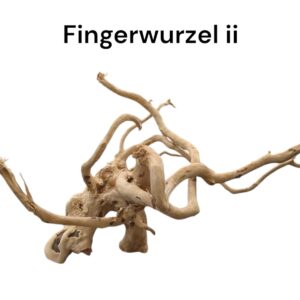 WhatsApp Image 2024-09-11 at 15.16.53.jpeg