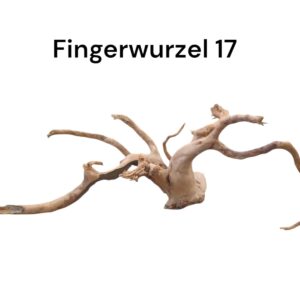 WhatsApp Image 2024-09-11 at 14.13.28.jpeg