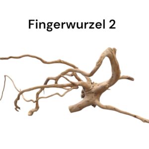 WhatsApp Image 2024-09-11 at 13.56.41.jpeg