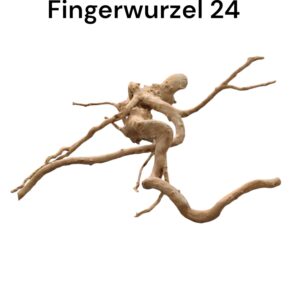 WhatsApp Image 2024-09-12 at 12.47.21.jpeg