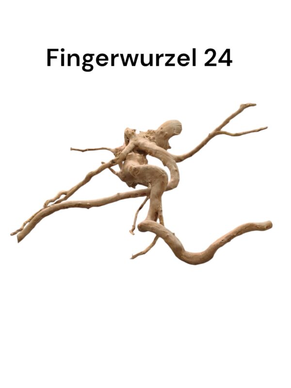 WhatsApp Image 2024-09-12 at 12.47.21.jpeg