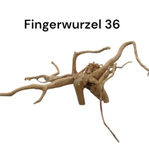 WhatsApp Image 2024-09-11 at 14.29.04.jpeg