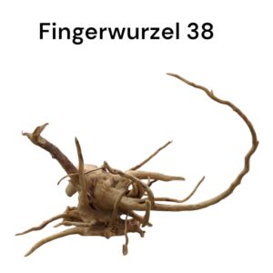 WhatsApp Image 2024-09-12 at 15.11.28.jpeg