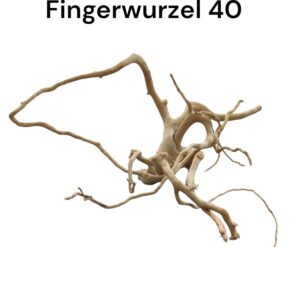 WhatsApp Image 2024-09-12 at 13.04.37.jpeg