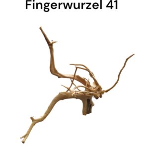 WhatsApp Image 2024-09-12 at 13.07.24.jpeg