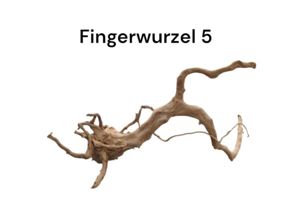 WhatsApp Image 2024-09-11 at 13.58.21.jpeg