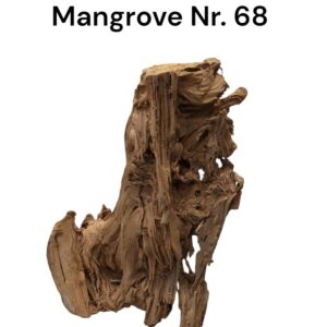 WhatsApp Image 2024-12-11 at 14.54.56.jpeg