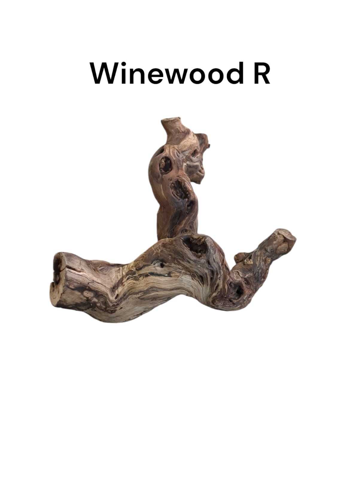 Winewood Rebholz R