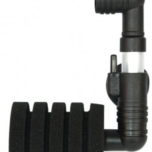 nsf-40.jpg