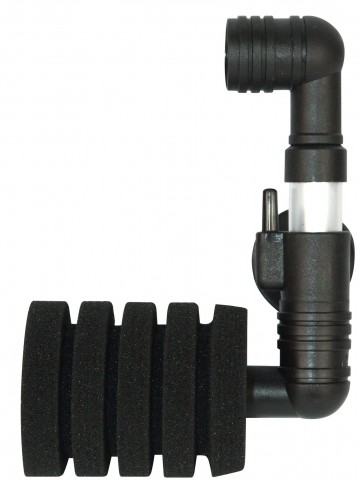 nsf-40.jpg