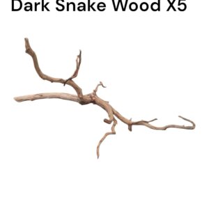 WhatsApp Image 2024-09-09 at 13.14.12.jpeg