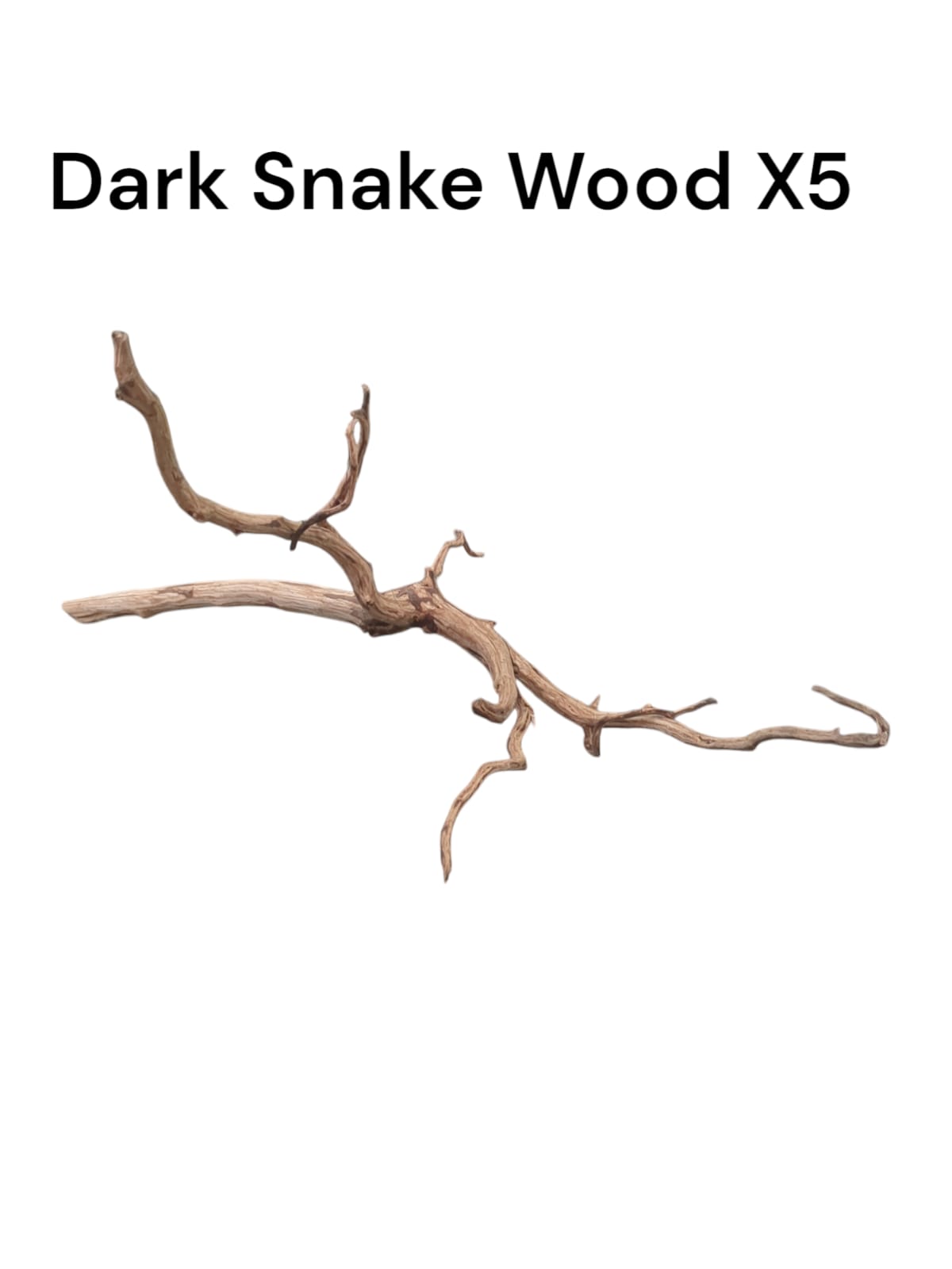 Dark Snake Wood X5