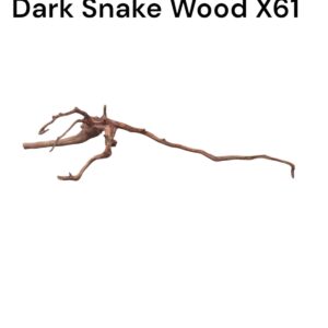 WhatsApp Image 2024-09-09 at 13.22.13.jpeg