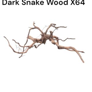 WhatsApp Image 2024-09-09 at 13.30.21.jpeg