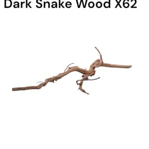 WhatsApp Image 2024-09-09 at 13.25.02.jpeg