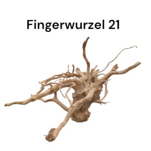 WhatsApp Image 2024-09-11 at 14.17.24.jpeg