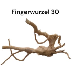 WhatsApp Image 2024-09-11 at 14.30.39.jpeg