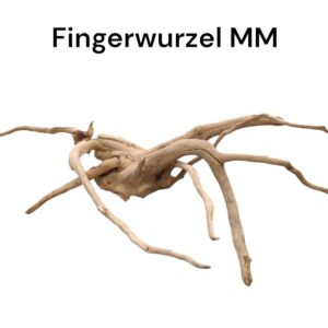 WhatsApp Image 2024-09-11 at 15.21.18.jpeg