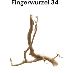 WhatsApp Image 2024-09-12 at 13.03.12.jpeg