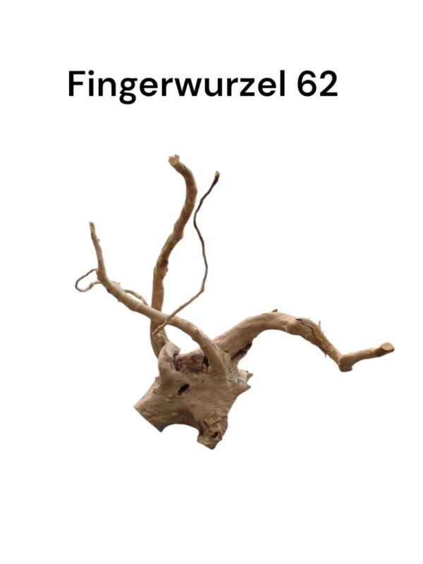 WhatsApp Image 2024-09-12 at 13.14.18.jpeg