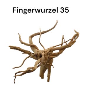 WhatsApp Image 2024-09-12 at 15.08.01.jpeg