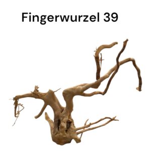 WhatsApp Image 2024-09-12 at 15.15.51.jpeg