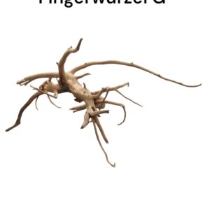 WhatsApp Image 2024-09-12 at 15.54.17.jpeg