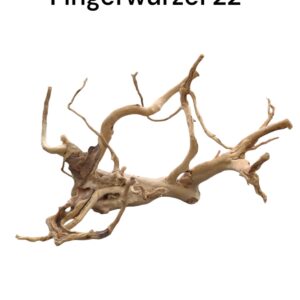 WhatsApp Image 2024-09-12 at 17.07.29.jpeg