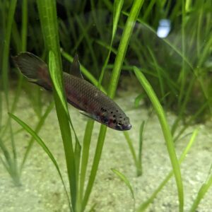 WhatsApp Image 2024-09-03 at 10.05.27(3).jpeg