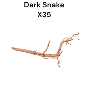 WhatsApp Image 2024-08-29 at 12.48.11.jpeg