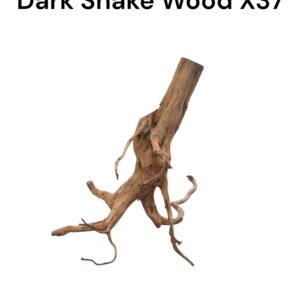 WhatsApp Image 2024-12-12 at 11.21.19.jpeg