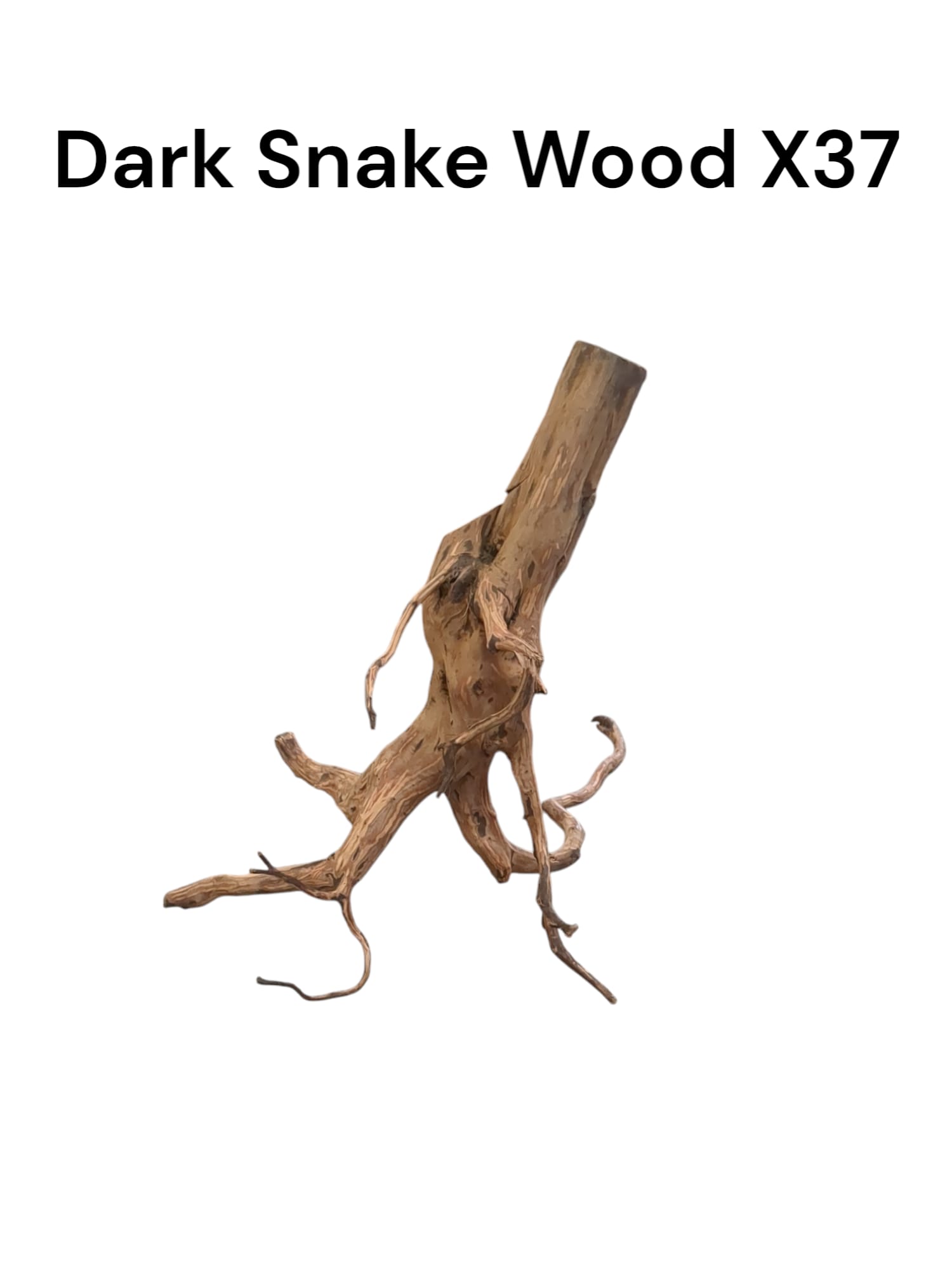 Dark Snake Wood X37