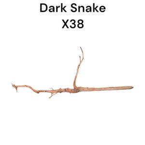 WhatsApp Image 2024-08-29 at 12.54.34.jpeg