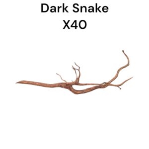 WhatsApp Image 2024-08-29 at 12.56.56.jpeg