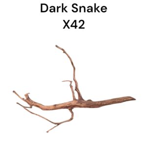 WhatsApp Image 2024-08-29 at 12.59.26.jpeg