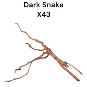 WhatsApp Image 2024-08-29 at 13.01.56.jpeg