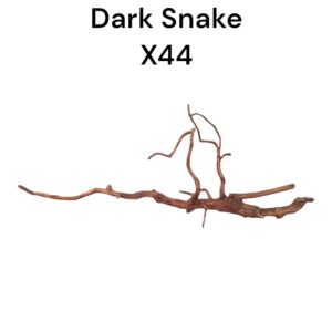 WhatsApp Image 2024-08-29 at 13.02.50.jpeg