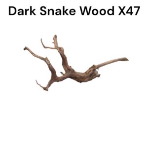 WhatsApp Image 2024-12-12 at 12.28.52.jpeg