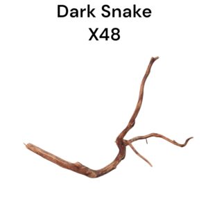 WhatsApp Image 2024-08-29 at 13.11.26.jpeg