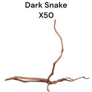 WhatsApp Image 2024-08-29 at 13.13.42.jpeg