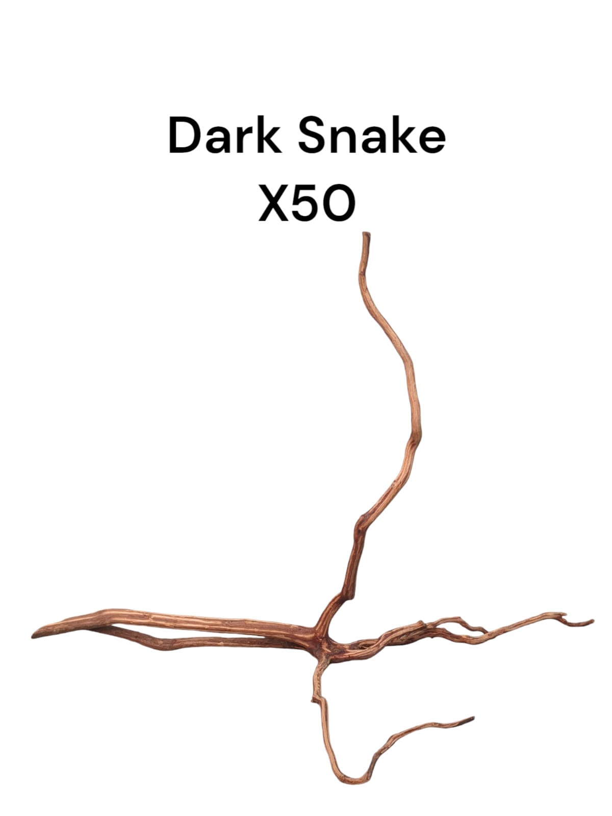 Dark Snake Wood X50