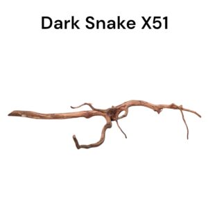 WhatsApp Image 2024-08-29 at 13.14.53.jpeg