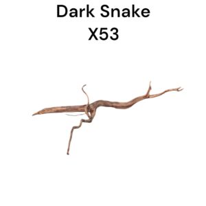 WhatsApp Image 2024-08-29 at 13.18.12.jpeg