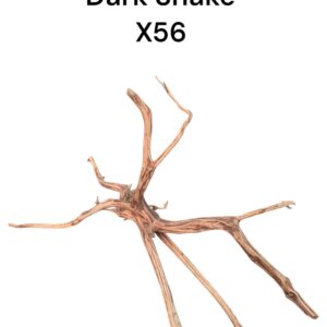 WhatsApp Image 2024-08-29 at 13.23.05.jpeg