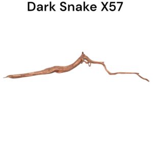 WhatsApp Image 2024-08-29 at 13.32.42.jpeg