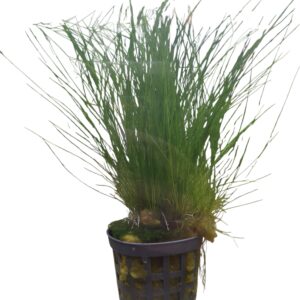 WhatsApp Image 2024-08-29 at 11.36.10.jpeg