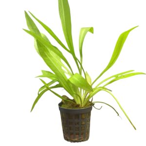 WhatsApp Image 2024-08-29 at 11.31.53.jpeg