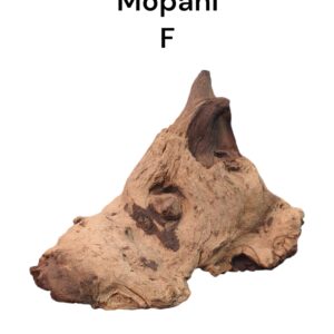 WhatsApp Image 2024-08-29 at 11.51.58.jpeg